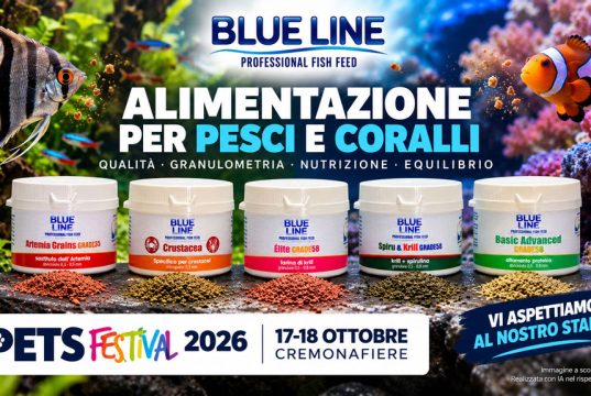 Blue Line a Petsfestival 2026: alimentazione di pesci e coralli protagonista a Cremona