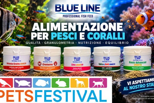 Blue Line a Petsfestival 2026: alimentazione di pesci e coralli protagonista a Cremona