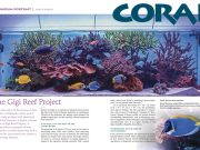 Gigi Reef Project su CORAL: l’acquario italiano conquista gli USA