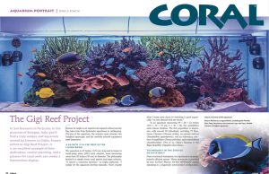 Gigi Reef Project su CORAL: l’acquario italiano conquista gli USA