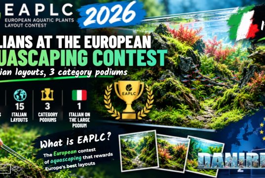 EAPLC 2026: Italians at the European Aquascaping Contest EAPLC 2026: Italians at the European aquascaping contest