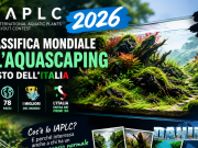 IAPLC 2026: la classifica mondiale dell’aquascaping, Italia 47esima