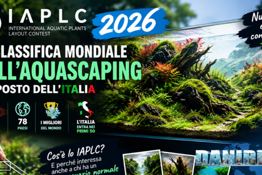 IAPLC 2026: la classifica mondiale dell’aquascaping, Italia 47esima