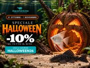 AquariumLine Halloween 2026: -10% su tutto con HALLOWEEN26