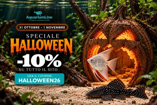 AquariumLine Halloween 2026: -10% su tutto con HALLOWEEN26