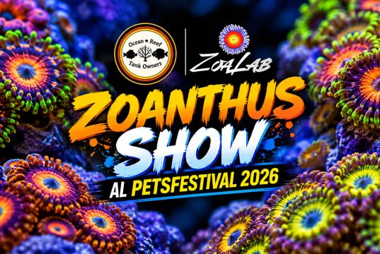 ORTO e ZoaLab: Zoanthus Show al PetsFestival 2026